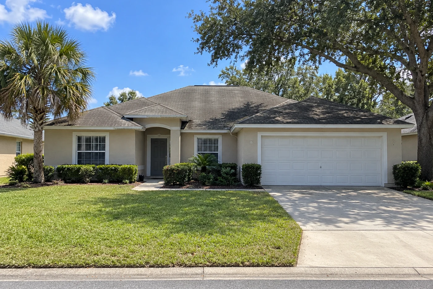 A modest single-story Florida house with a worn shingle roof, a palm and a live oak in the yard, the kind of house sold every week around Tampa
