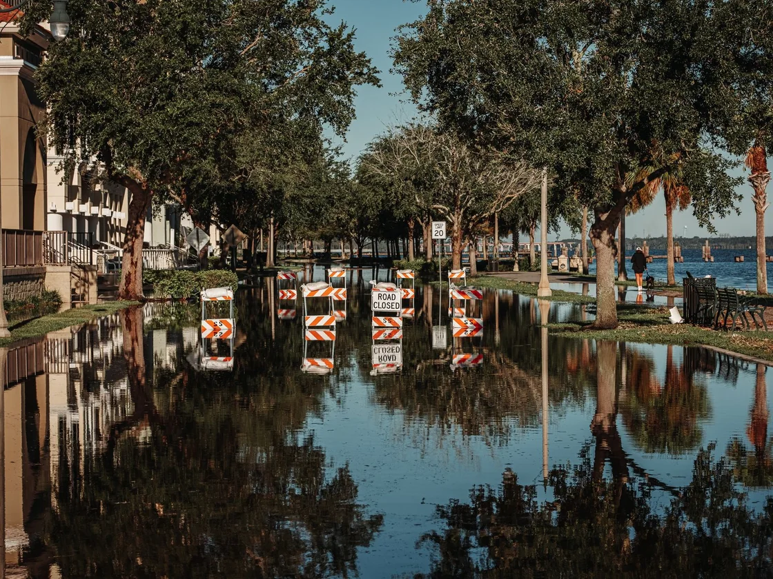 Road closed barricades standing in water across a flooded residential street lined with live oaks
